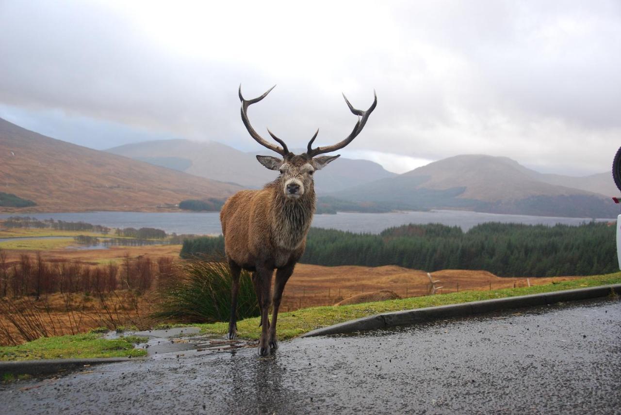 Little Fox Lodge Luxury Hideaway With Hot Tub Glencoe Near Fortwilliam (Adults Only) Luaran gambar